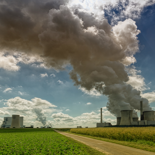 Pollution & Environment-I (ENMB-2501)