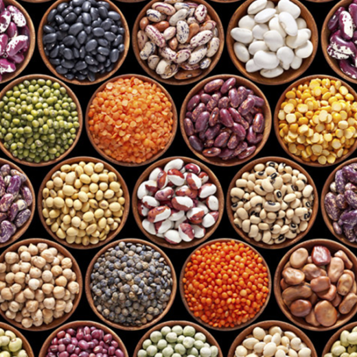 Seed & Seed Products (GMMB-2505)